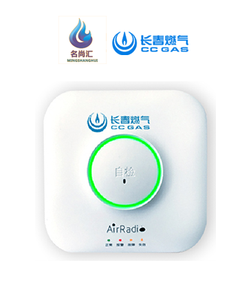 j9游戏报警器（天然气）